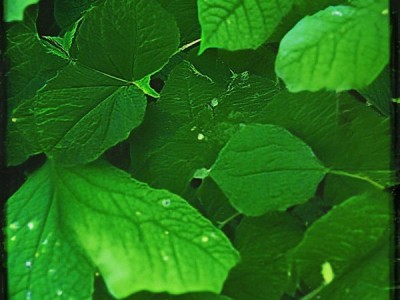 内商贸大数据与会计中外合作办学，融合国际教育资源，培育商贸大数据时代复合型会计人才