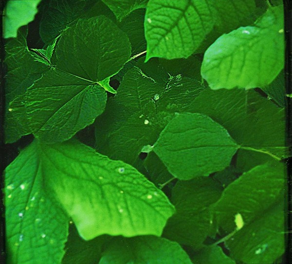 黔西南州新合作商贸城，区域商贸枢纽，城市经济新引擎